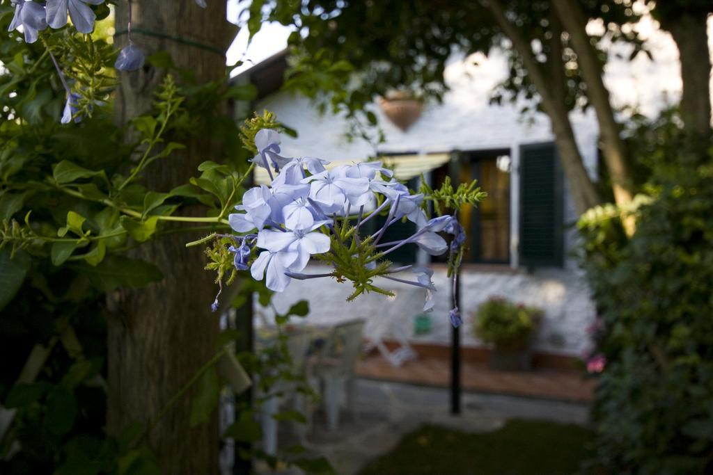 Case Vacanza La Ventura Massarosa Exterior photo